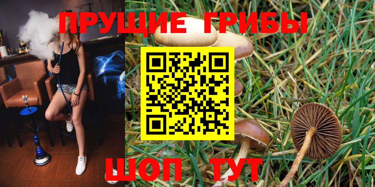 Псилоцибиновые грибы мухоморы  Вход с VPN  Псилоцибиновые грибы MAGIC MUSHROOMS  Абакан 